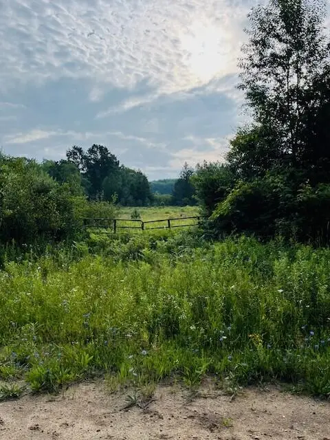 264 S 152nd, Shelby, MI 49455 - Image #2