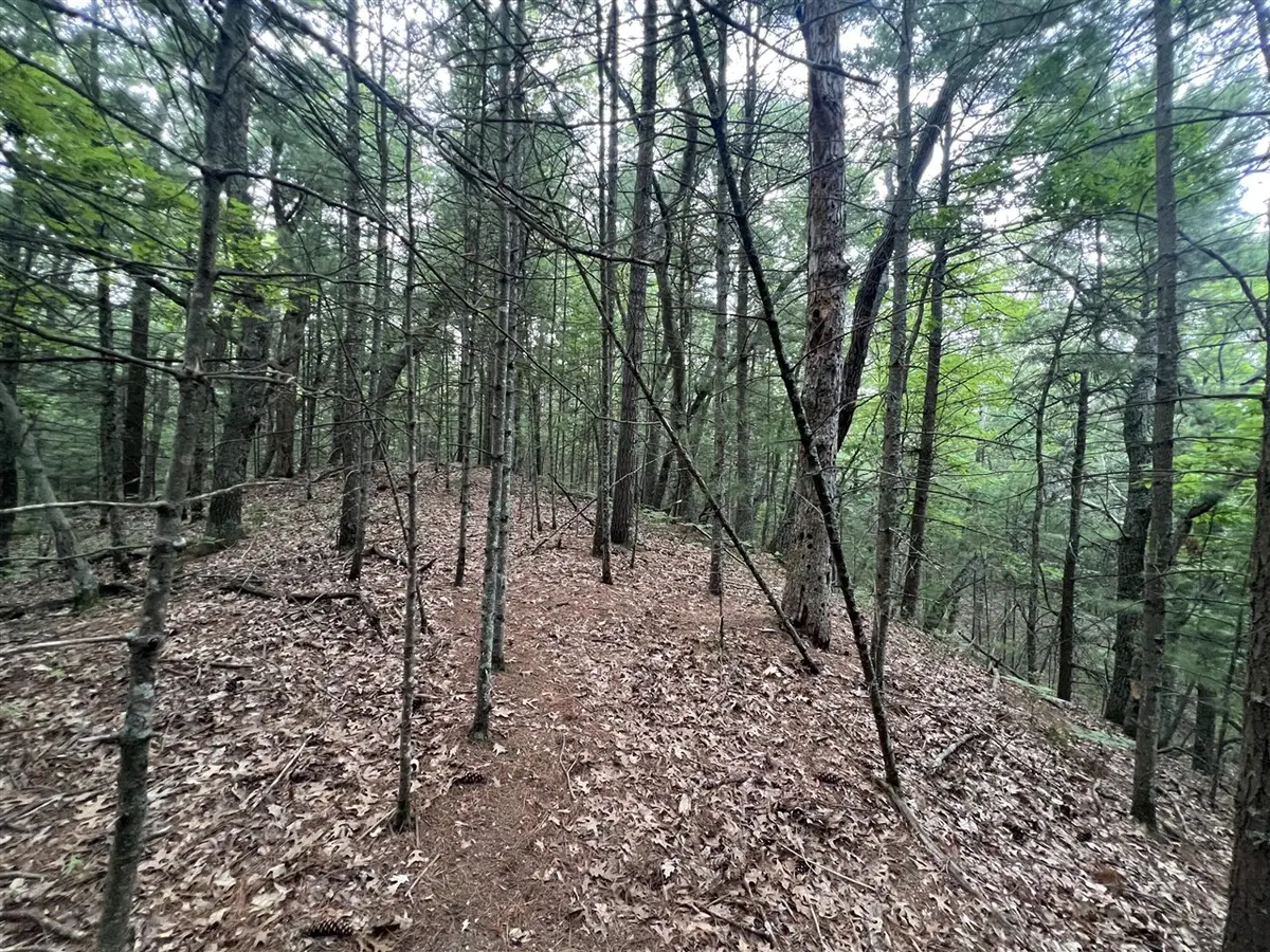 V/L A Lenox, Pentwater, MI 49449 - Image #1