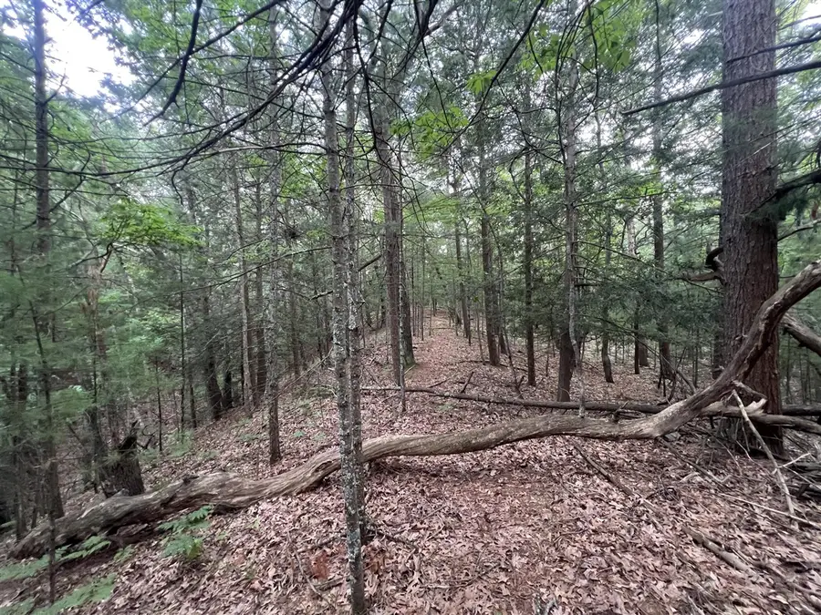 V/L A Lenox, Pentwater, MI 49449 - Image #3