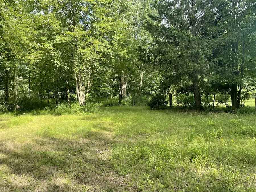 951 57th, Pullman, MI 49450 - Image #2