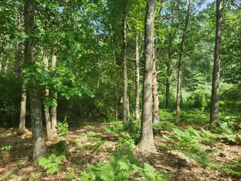 7373 S Riverbend, Branch, MI 49402 - Image #2