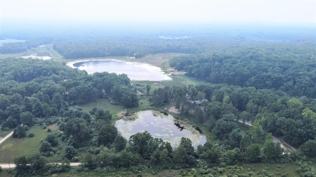 10921 North Pine Grove, Bitely, MI 49309 - #1