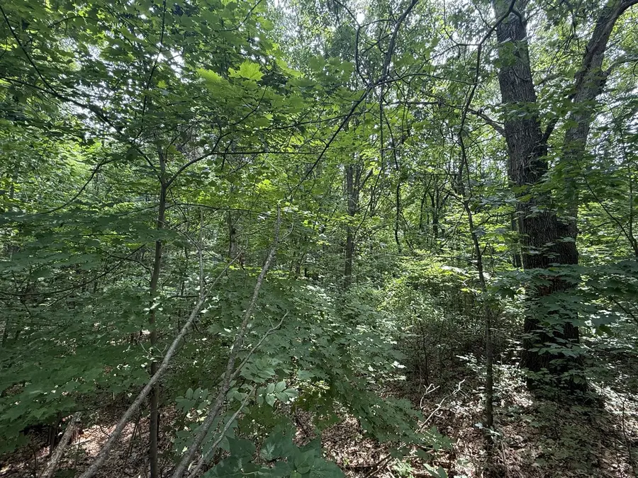 VL Marcellus, Dowagiac, MI 49047 - Image #2