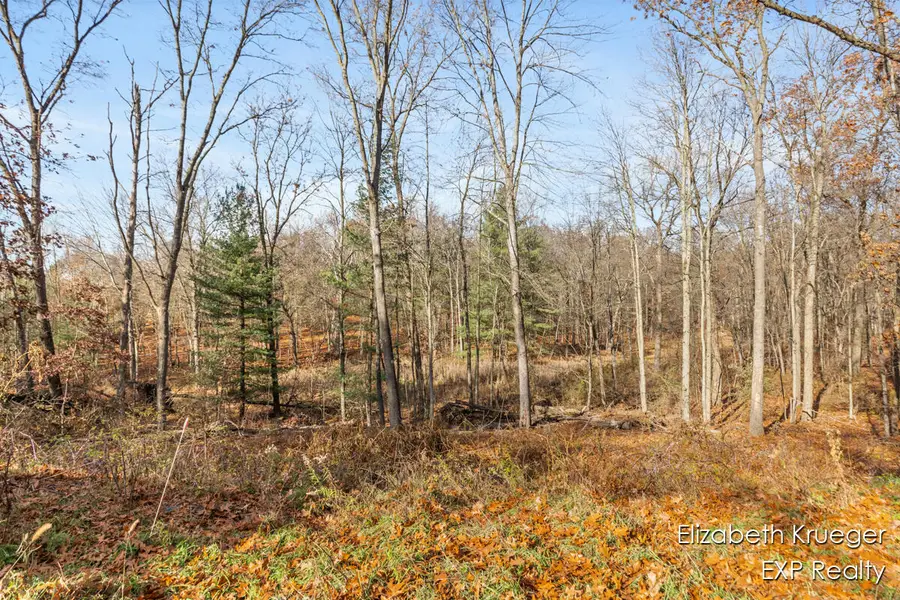 8965 Vergennes, Ada, MI 49301 - Image #2