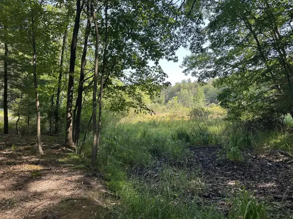V/L W Fruitvale, Montague, MI 49437
