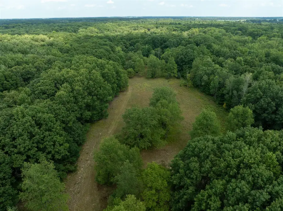 39A N Pingree, Alma, MI 48801 - #2