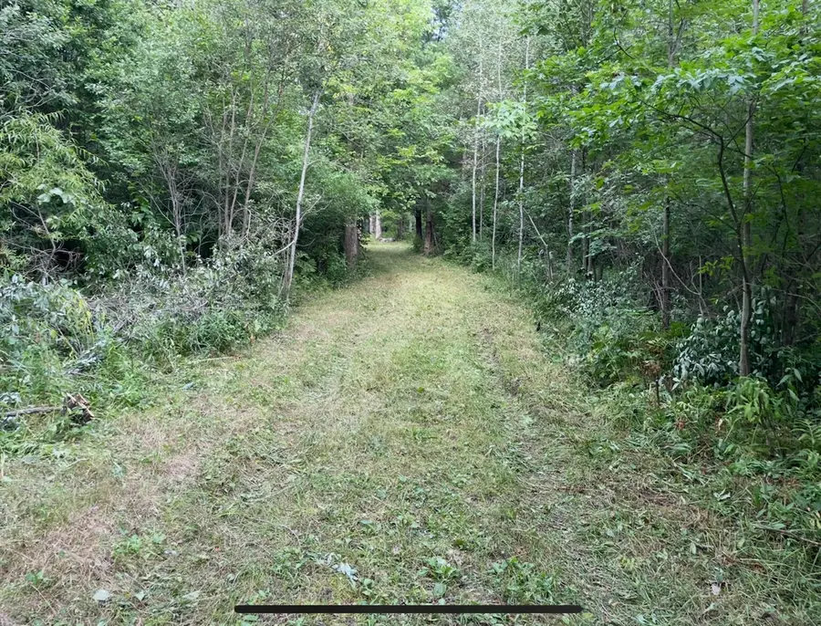 00 Laverne, Wellston, MI 49689 - Image #3