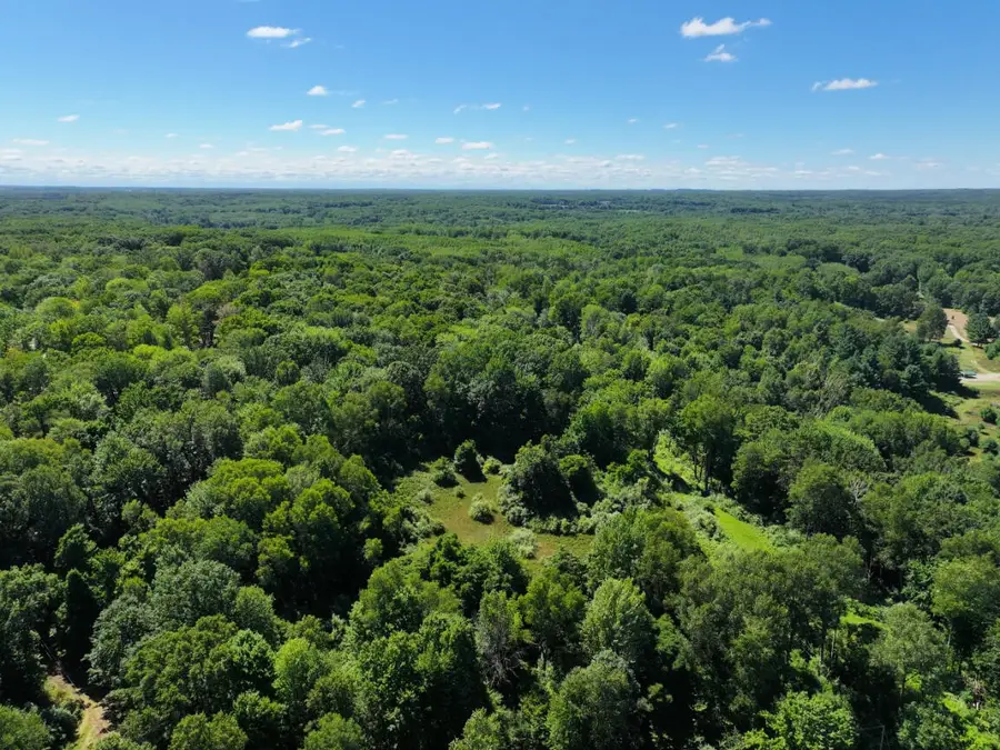 V/L 10.45A Campbell, Branch, MI 49402 - Image #2