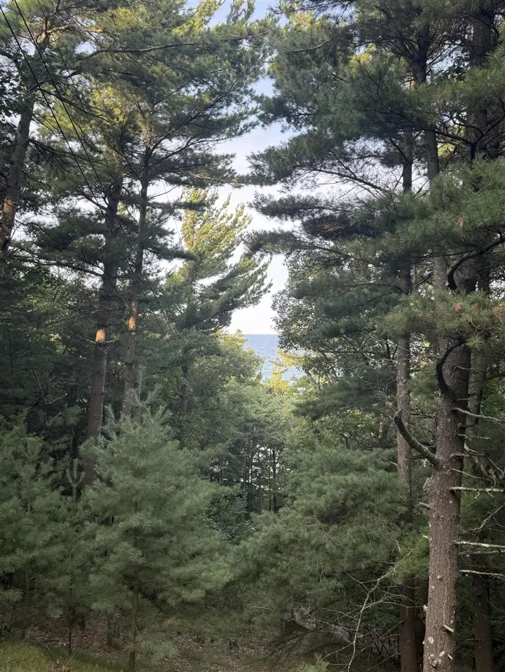 Lot G Hemlock, Shelby, MI 49455 - Image #1