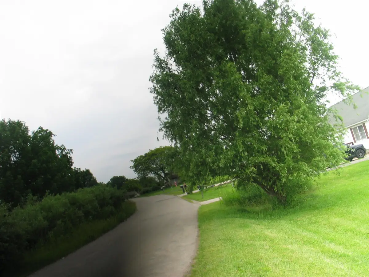 8899 Sussex, Onsted, MI 49265 - #1