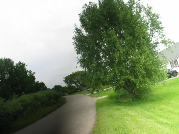 8899 Sussex, Onsted, MI 49265