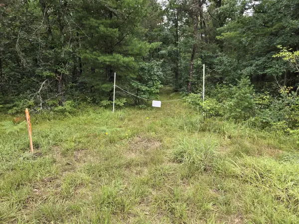 V/L Par B E 44th, Idlewild, MI 49642