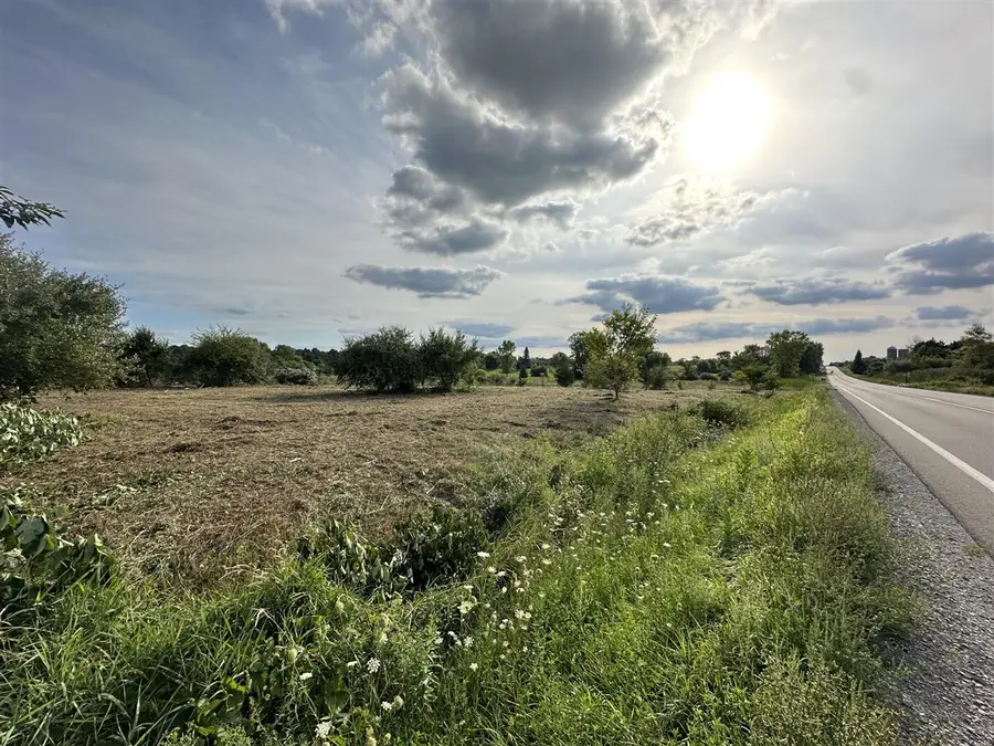 VL Otter Lake, Otter Lake, MI 48464 - Image #3