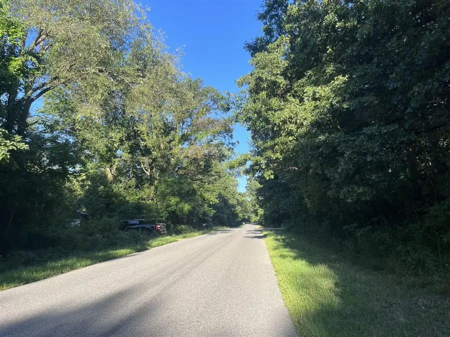 13164 Beckwith, Lowell, MI 49331 - #2