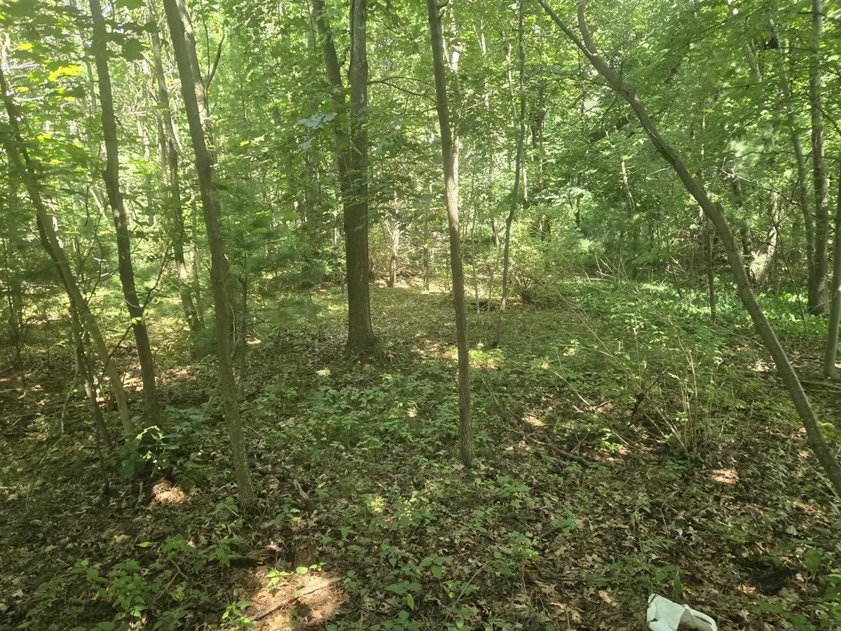 VL Whitehall, Whitehall, MI 49461 - #1