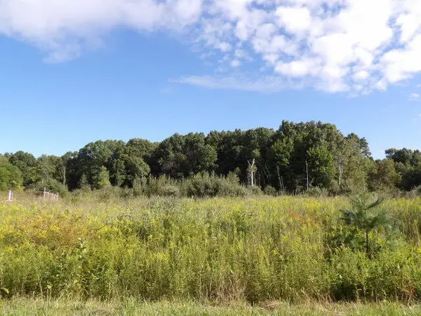 2747 M, Athens, MI 49011