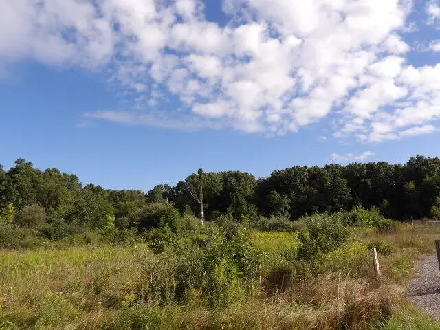 2747 M, Athens, MI 49011 - #3