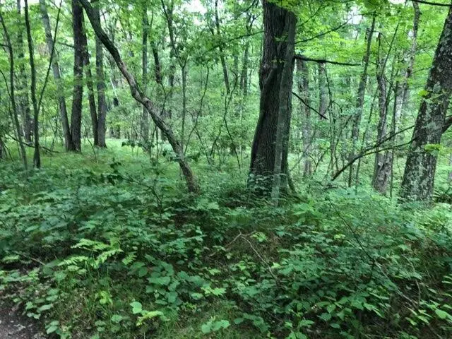 7752 N Felch, Bitely, MI 49309 - #2