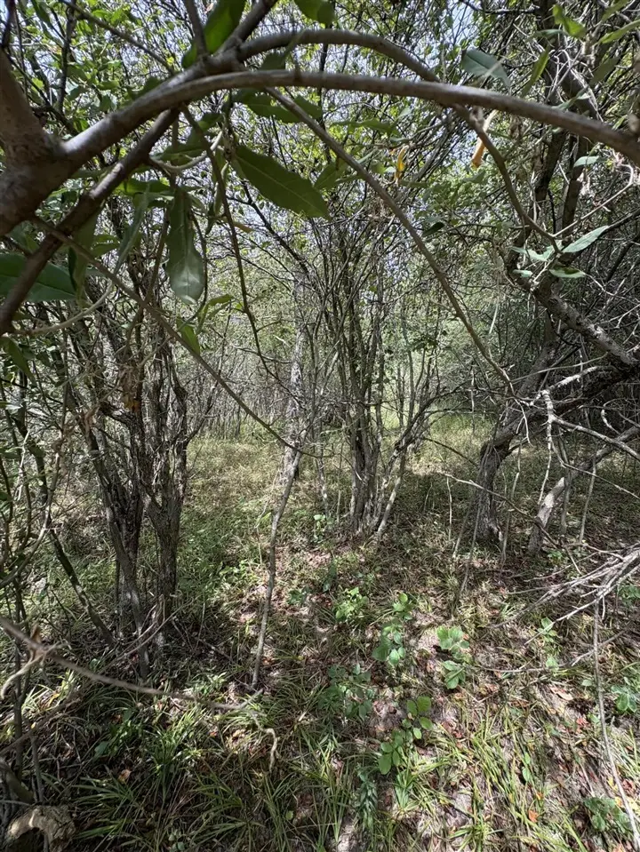 Lot 519 & 520 Lake Miramachi, Evart, MI 49631 - Image #1