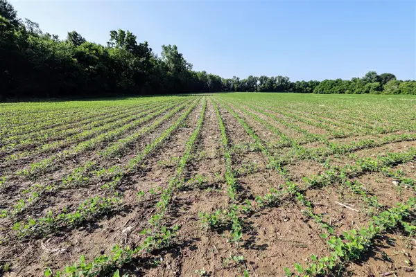 VL Tucker Rd Lot#wp001, Eaton Rapids, MI 48827