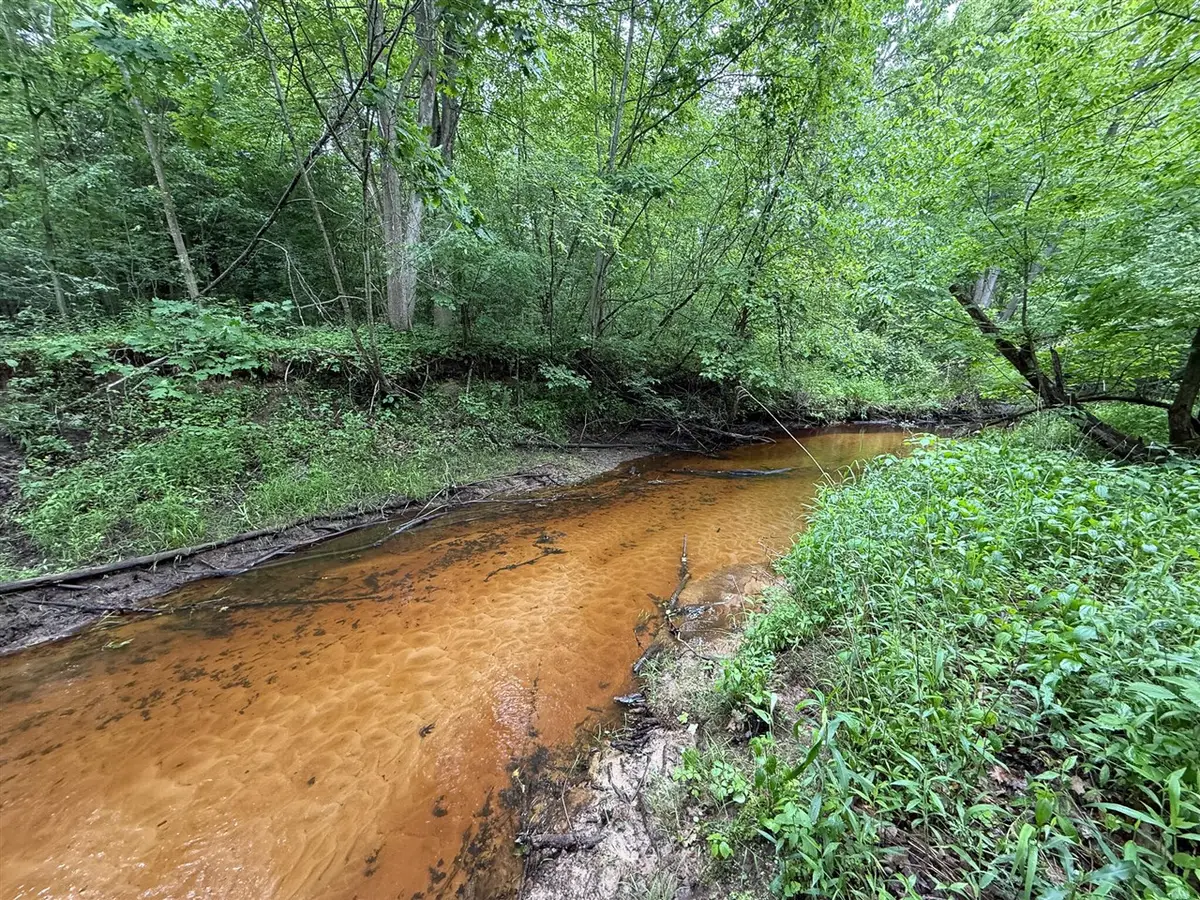 V/L75 Short, Sanford, MI 48657 - Image #1