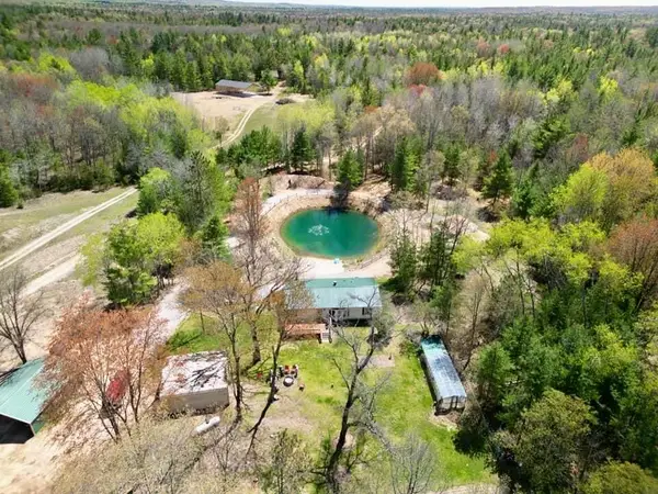 1255 E Chickadee, Luther, MI 49656