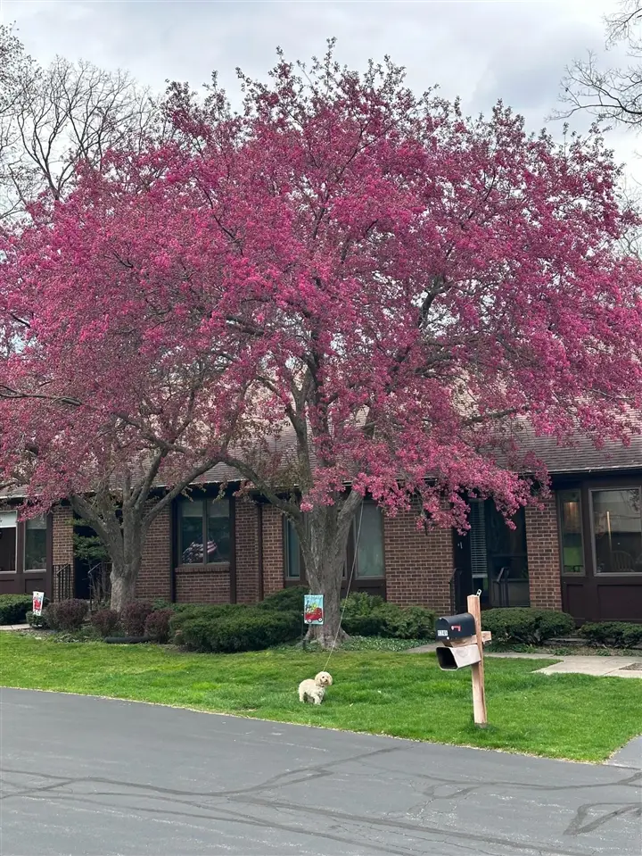 6348 Greenway, Grand Rapids, MI 49546 - Image #2