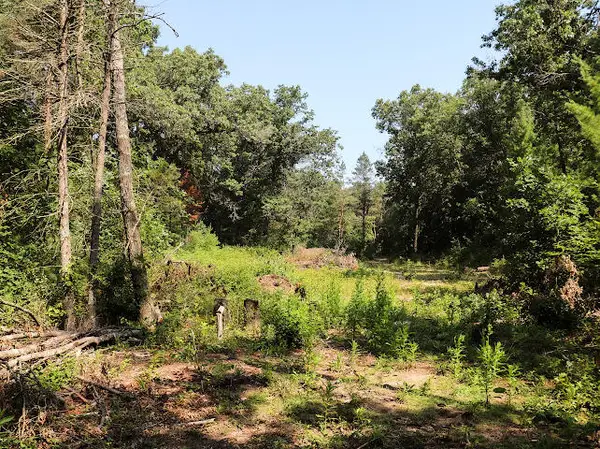 3583 E Croton, Newaygo, MI 49337