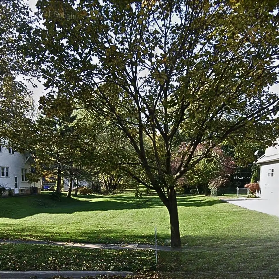 525 N Macomb, Monroe, MI 48162 - #1