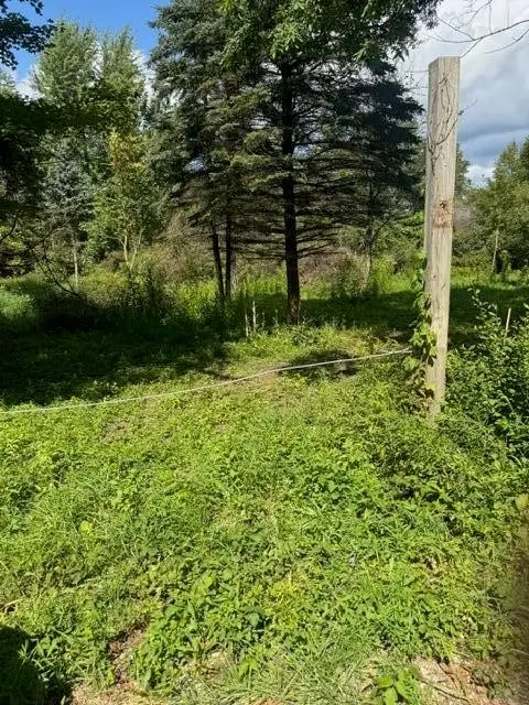 Parcel B Maple Grove, Hastings, MI 49058