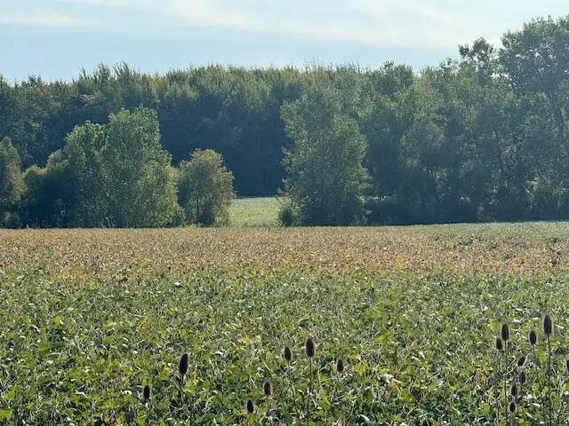 7200 Us 12, Three Oaks, MI 49128 - Image #2