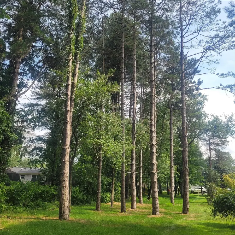 11348 Oakwood, Jerome, MI 49249 - #3