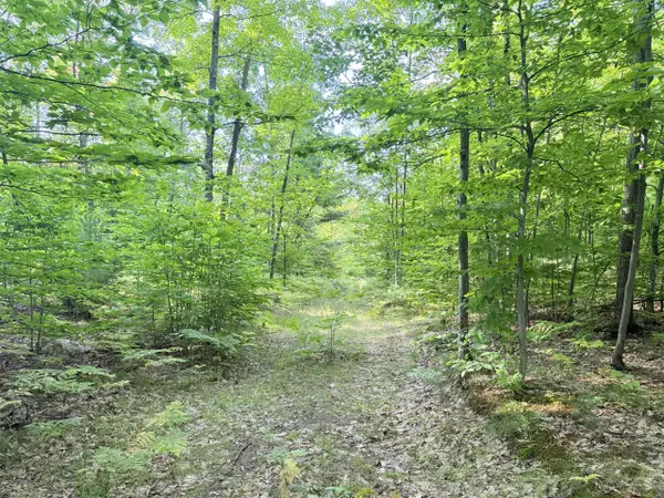 VL 3 Mile, Luther, MI 49656