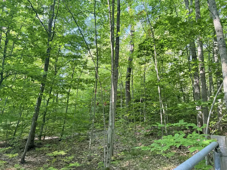 VL 3 Mile, Luther, MI 49656 - Image #2