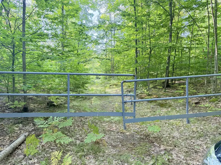 VL 3 Mile, Luther, MI 49656 - Image #3