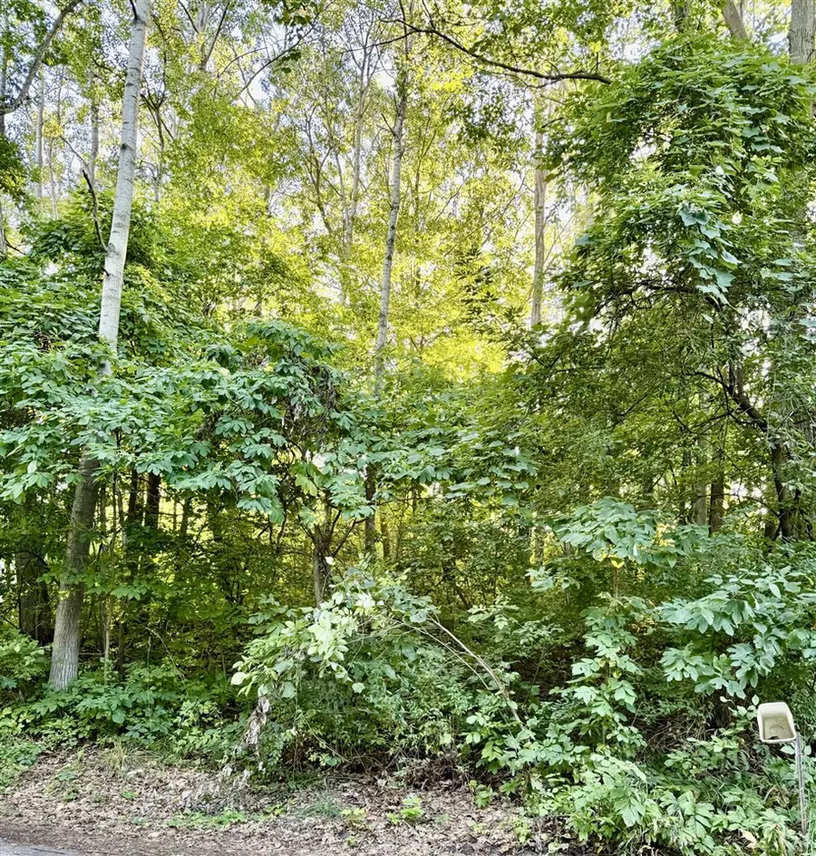 12432 Mcmurty, Sand Lake, MI 49343 - #3