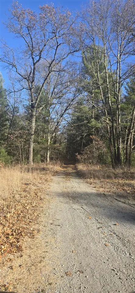 W Cedar, Twin Lake, MI 49457 - #2