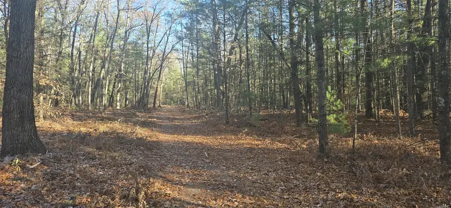 W Cedar, Twin Lake, MI 49457 - #3