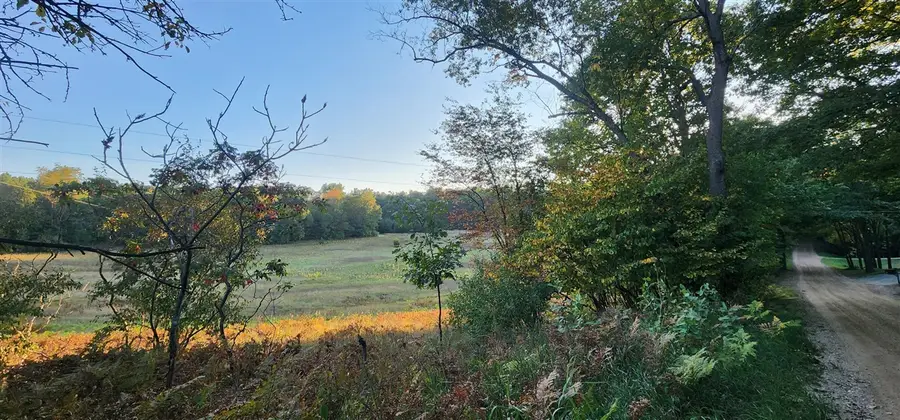 25vl W Grant Rd, Shelby, MI 49455 - #3