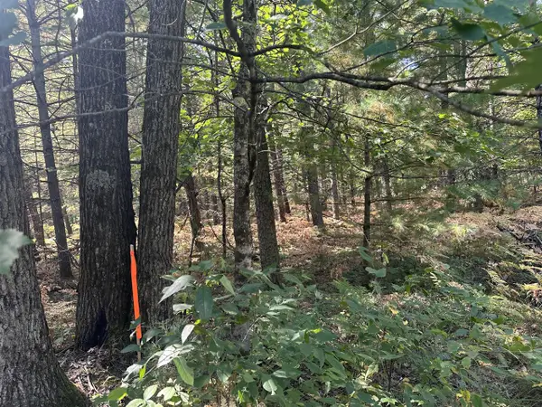 PAR D 16th, Baldwin, MI 49304