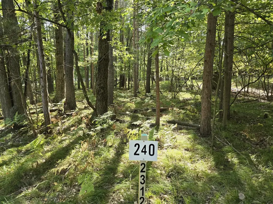 6728 Beechnut Ridge, Canadian Lakes, MI 49346 - Image #2