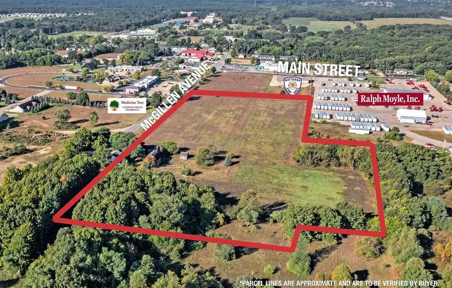 23440 E Mcgillen, Mattawan, MI 49071 - Image #3