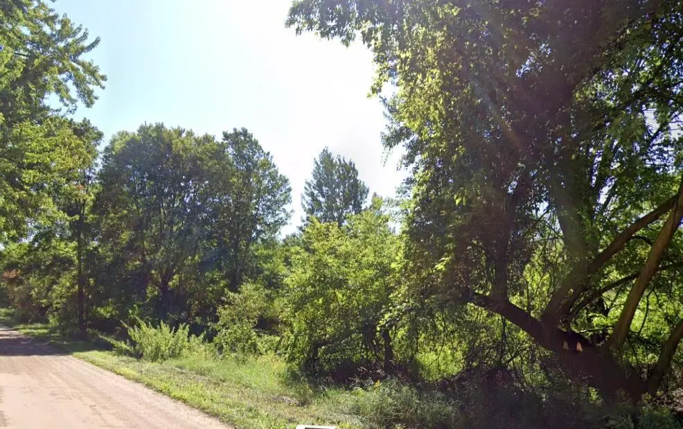 17197 E Moore, Grant, MI 49327 - Image #1