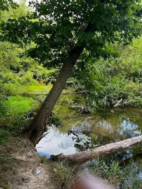 12808 Lincoln Lake, Gowen, MI 49326 - Image #1