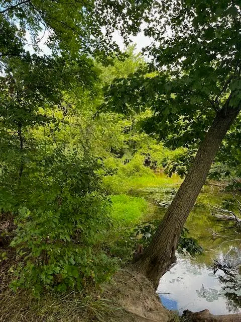 12808 Lincoln Lake, Gowen, MI 49326 - Image #2