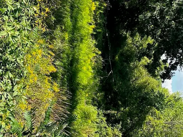 12808 Lincoln Lake, Gowen, MI 49326 - Image #3