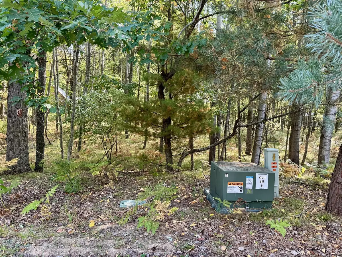 6742 Abbey, Canadian Lakes, MI 49346 - Image #1