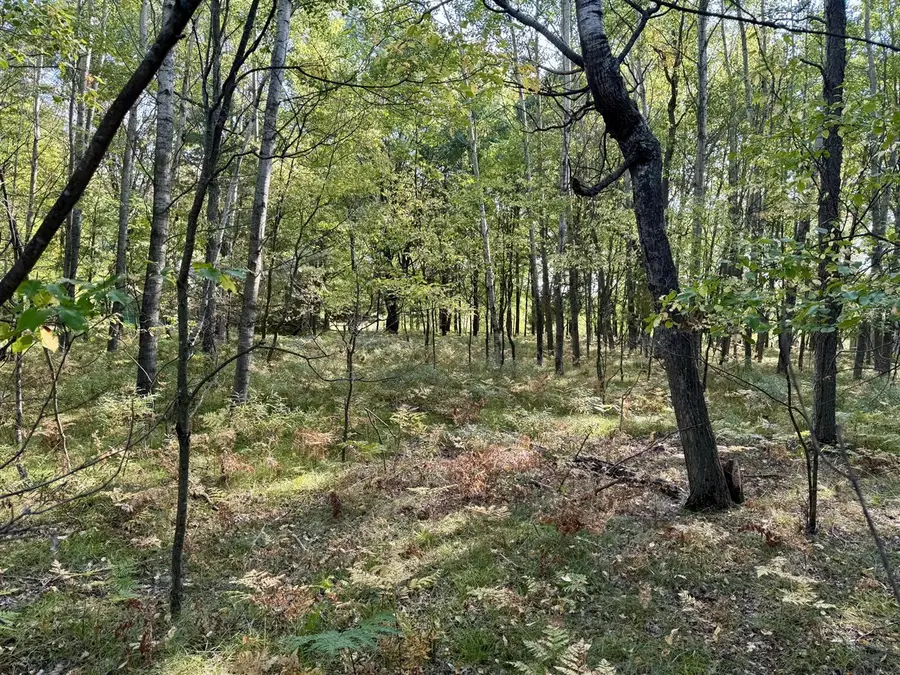 6742 Abbey, Canadian Lakes, MI 49346 - Image #2