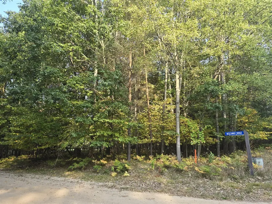 6718 Beechnut Ridge, Canadian Lakes, MI 49346 - Image #2