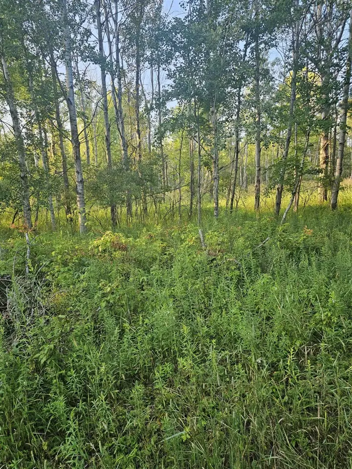 15410 Johnson, Kaleva, MI 49645 - Image #2